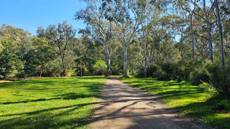 dights falls loor trail 768x432