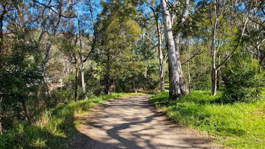 Dights Falls Loop Trail