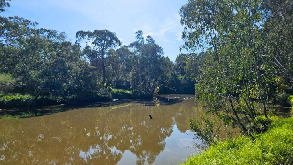 Yarra River along Dights Falls Loop Trail