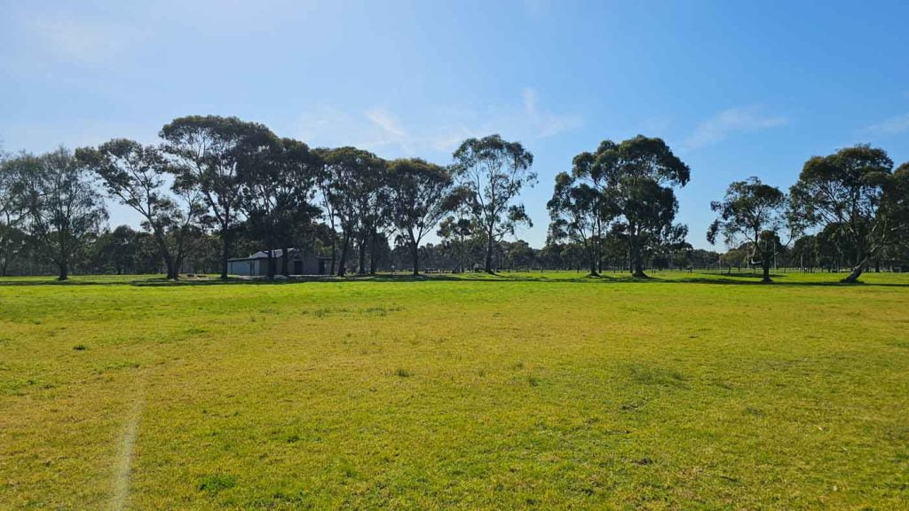 Off-leash area at Yarra Bend