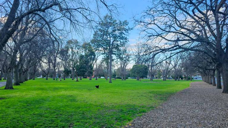 off leash park edinburgh gardens 768x432