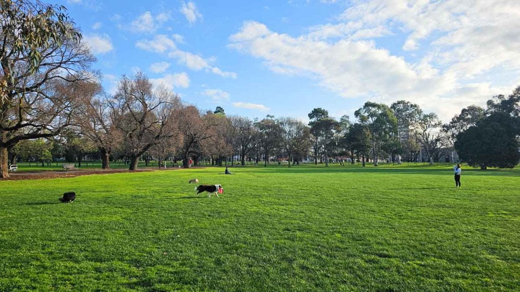 Off leash area in Princess Park