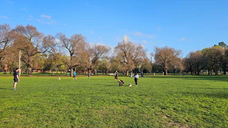 princess park off leash carlton 768x432