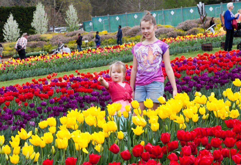 Kid enjoying activities for the school holidays at Tulip Festival