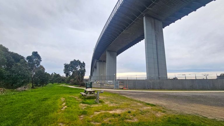 westgate park picnic sposts 768x432