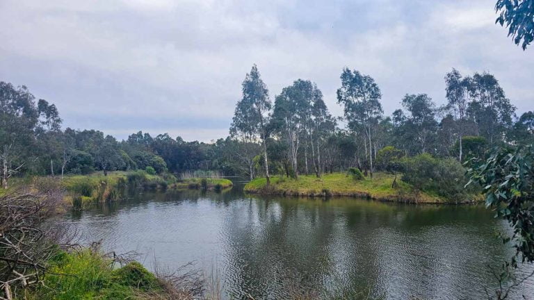 westgate park walking trail 768x432