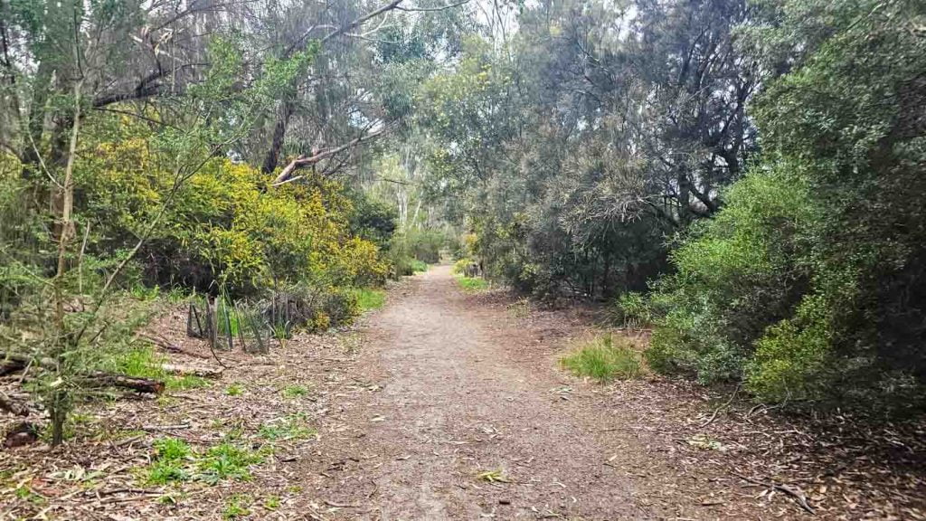 Westgate Park unpaved walking trail