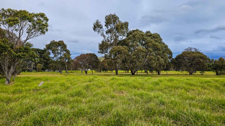 yalukit willam nature reserve grassland 768x432