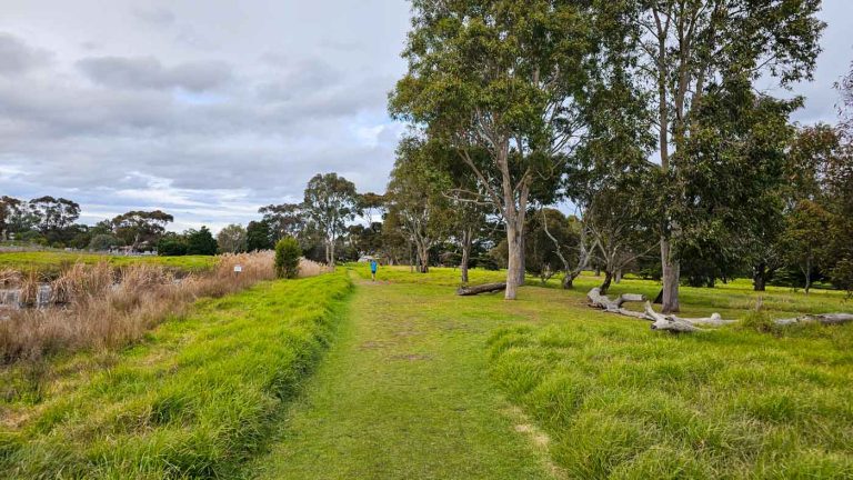 yalukit willam nature reserve trail 768x432