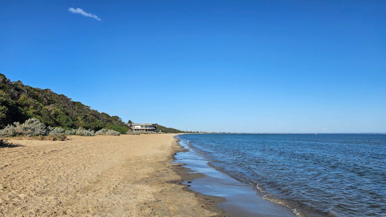 mentone dog beach 768x433