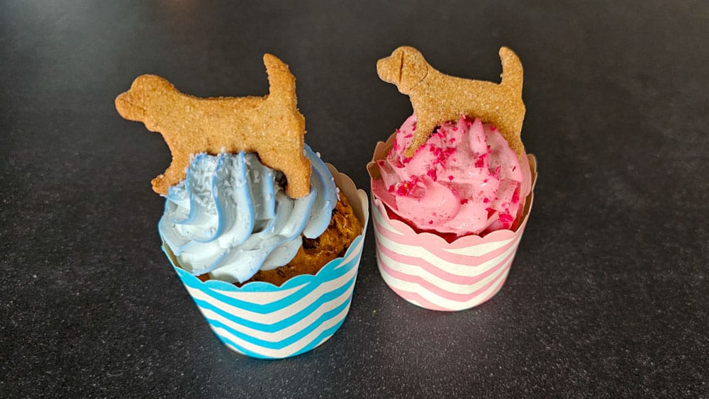 Willow's Pantry pup cakes