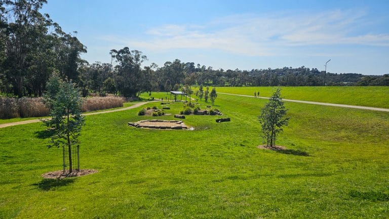 lillydale lake dog activity park 768x433