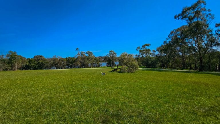 patterson road off leash area 768x433