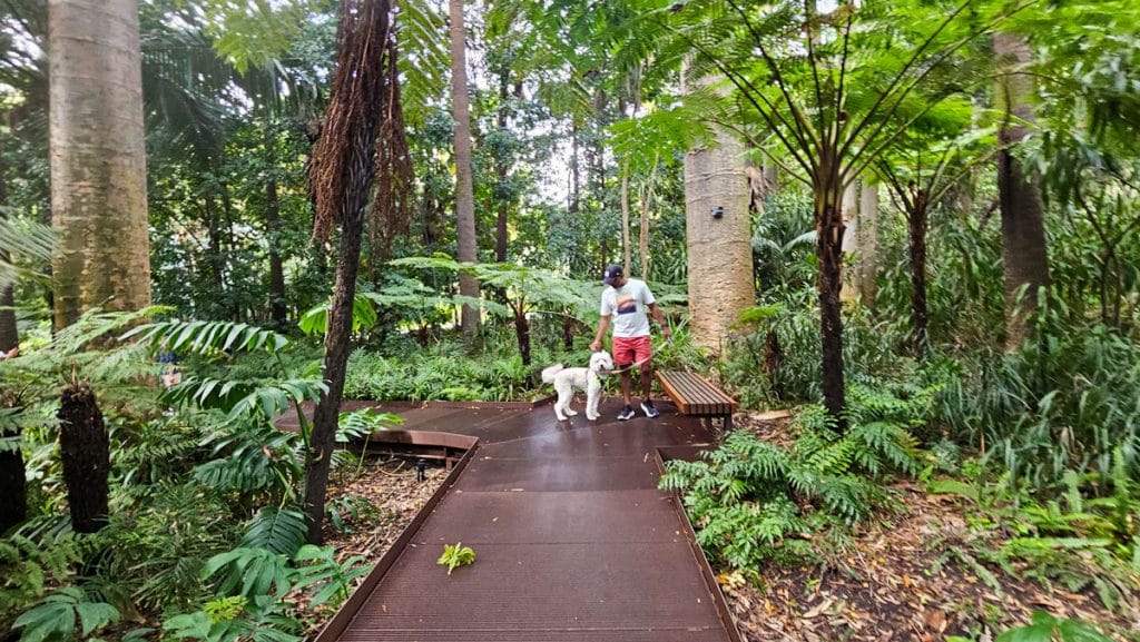 Royal Botanical Gardens Dog Walks