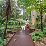 Royal Botanical Gardens Dog Walks